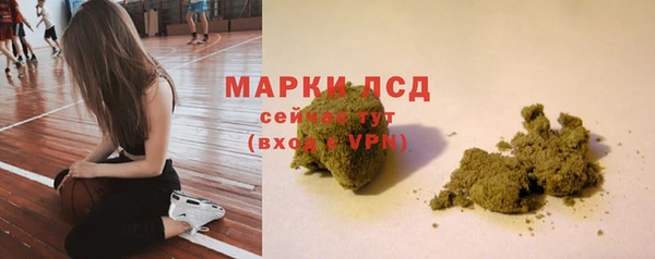 a pvp Алзамай