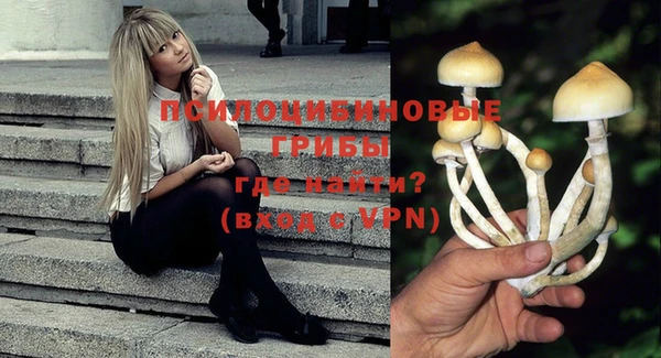 Альфа ПВП Абаза
